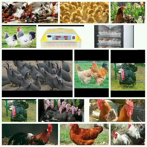 Reservation No3 Formation 20220617 191228